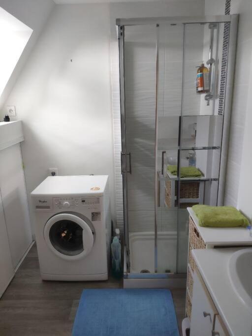 Le Tropica Appartement 2 Chambres, Plein Sud Centre Ville De Vitre Kültér fotó
