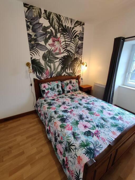 Le Tropica Appartement 2 Chambres, Plein Sud Centre Ville De Vitre Kültér fotó