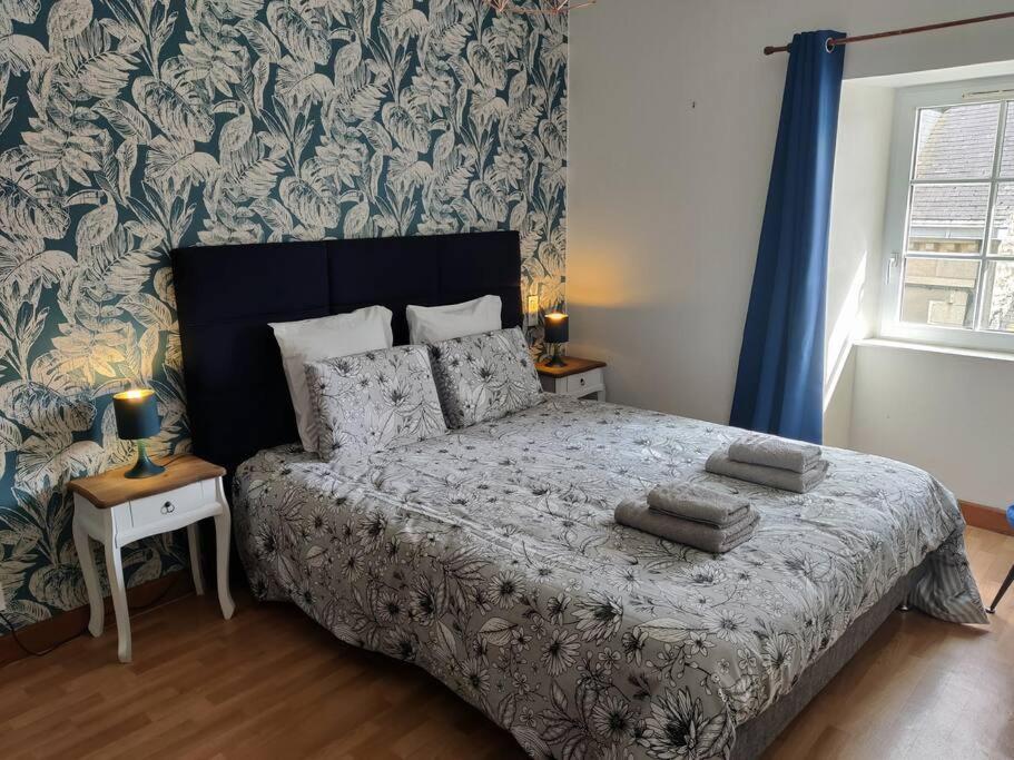 Le Tropica Appartement 2 Chambres, Plein Sud Centre Ville De Vitre Kültér fotó