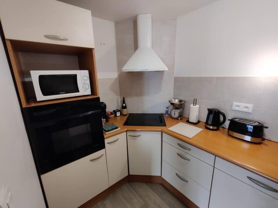 Le Tropica Appartement 2 Chambres, Plein Sud Centre Ville De Vitre Kültér fotó