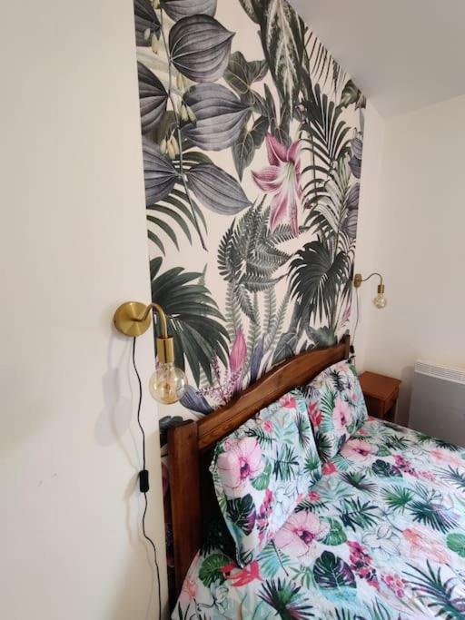 Le Tropica Appartement 2 Chambres, Plein Sud Centre Ville De Vitre Kültér fotó